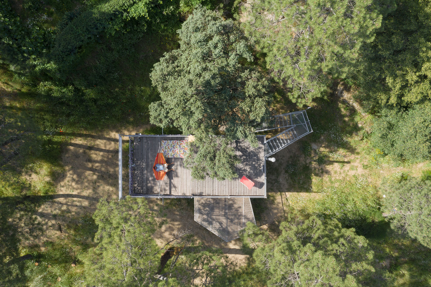 Hình ảnh ngôi nhà được chụp từ trên cao. Dự án được xây dựng giữa rừng thông, cách khu bảo tồn đặc biệt của Tây Ban Nha không xa.