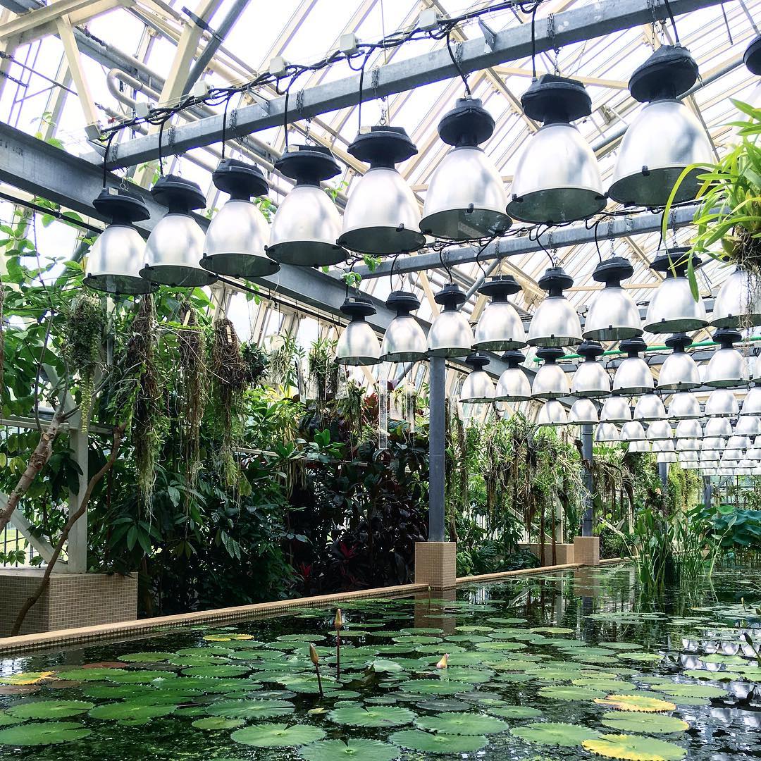 Nhà kính được thiết kế đặc biệt, bao gồm một số khu vực với các điều kiện khí hậu khác nhau được tái tạo bên trong để phù hợp cho thực vật phát triển. 