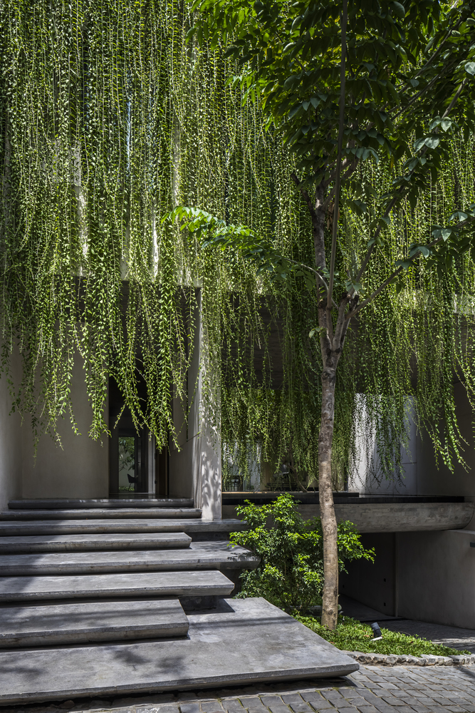 Villa Tân Định: 'Mảnh vườn thơ' xanh mướt giữa trung tâm Sài Gòn tấp nập - Ảnh 16