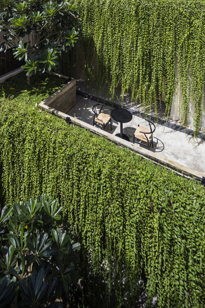 Chủ nhân có thể ngắm nhìn, tận hưởng một “khu vườn thu nhỏ” mang đủ hương sắc Sài Gòn ngay trong chính ngôi nhà thân thương.