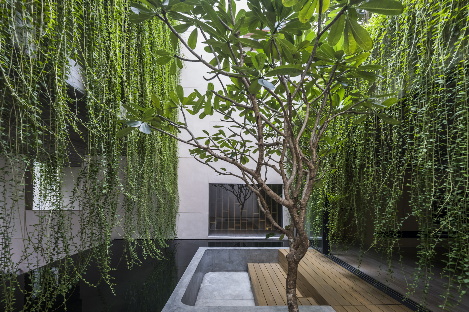 Villa Tân Định: 'Mảnh vườn thơ' xanh mướt giữa trung tâm Sài Gòn tấp nập - Ảnh 7