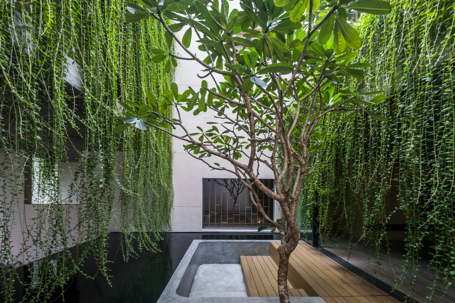 Villa Tân Định: 