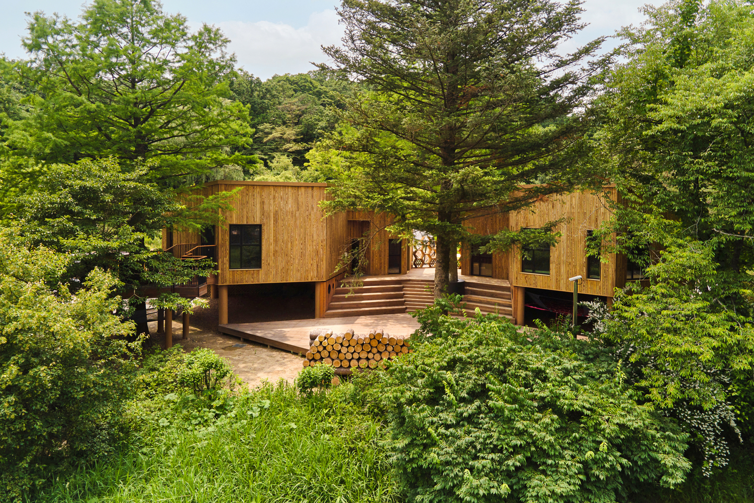 Ngôi trường gỗ giữa rừng để dạy trẻ nhỏ biết trân trọng rừng và môi trường