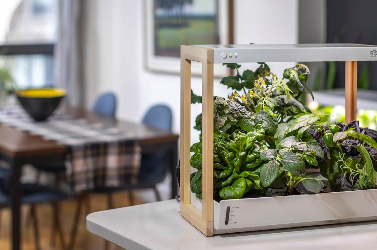 Ứng dụng công nghệ thủy canh cho phép bạn trồng các loại thảo mộc, rau xanh,... ngay trong phòng bếp nhỏ. 