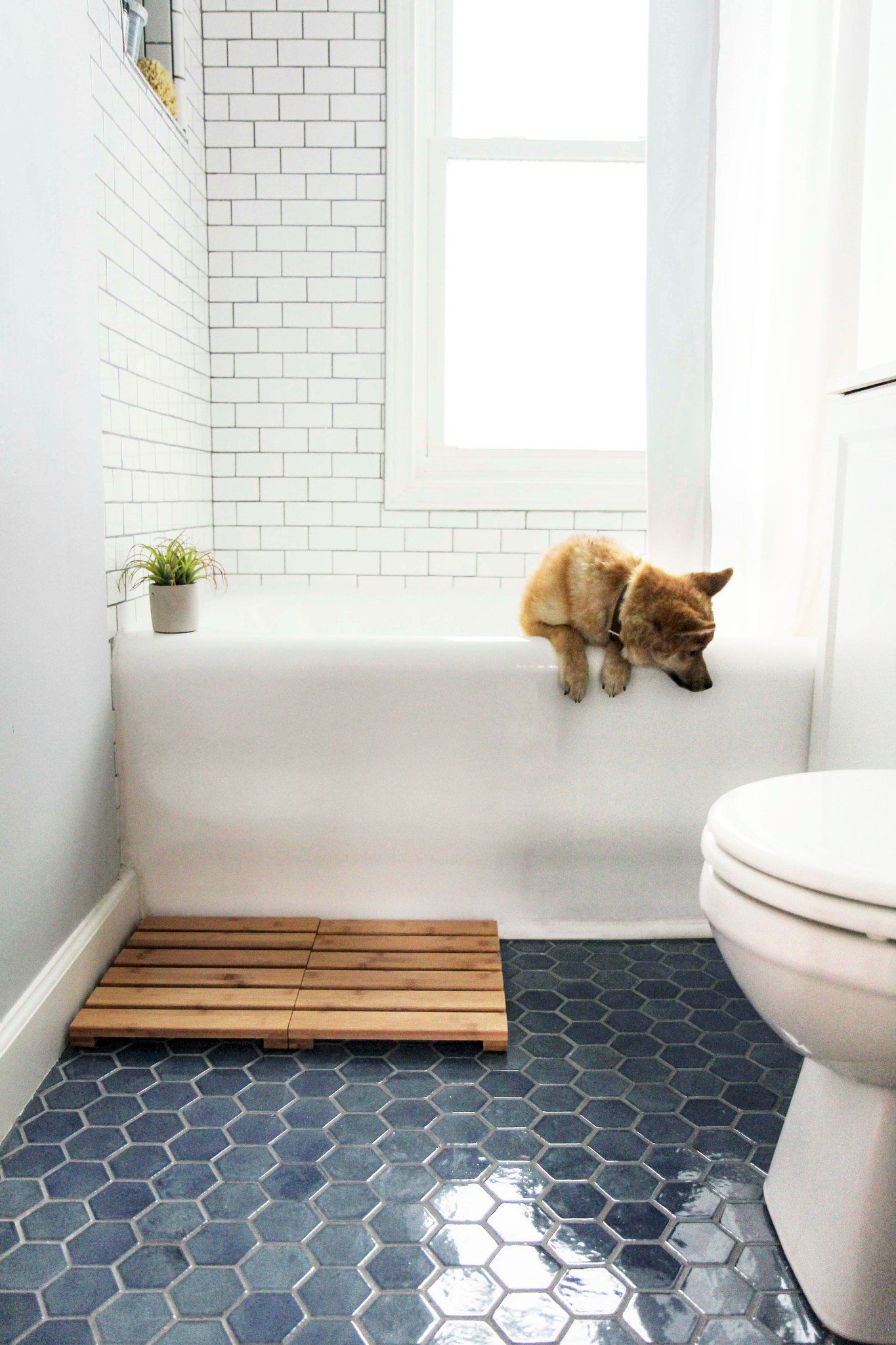 Phòng tắm lựa chọn cách phân vùng khéo léo bằng cách chọn gạch thẻ metro màu trắng cho bức tường và gạch tổ ong màu xanh lục cho sàn nhà sáng bóng.
