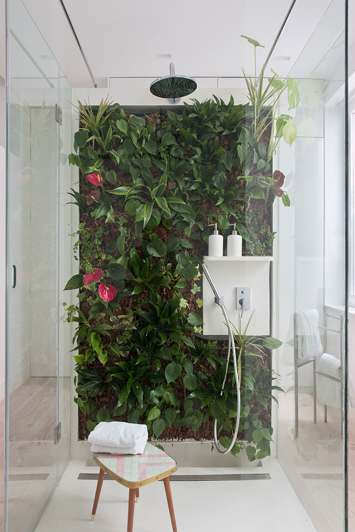 Bạn có thể trồng cây cảnh trong chậu hoặc thiết kế một “khu vườn mini” trên tường buồng tắm thật ấn tượng.