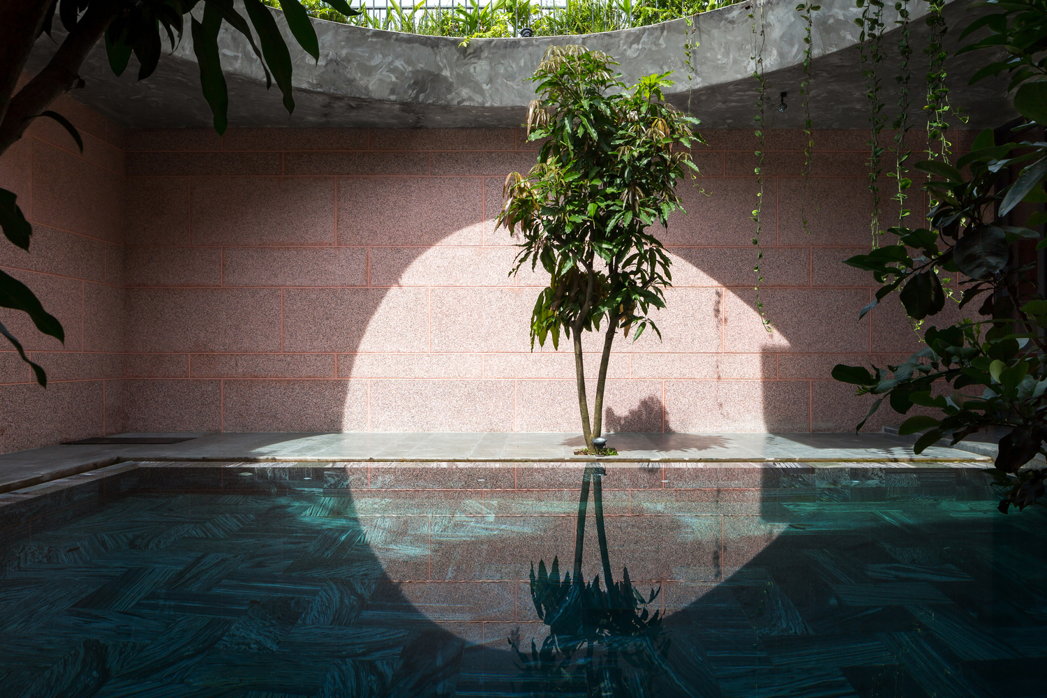 Pink House: Ngôi nhà ngập sắc hồng tại An Giang với điểm nhấn từ giếng trời và bể bơi siêu rộng - Ảnh 16