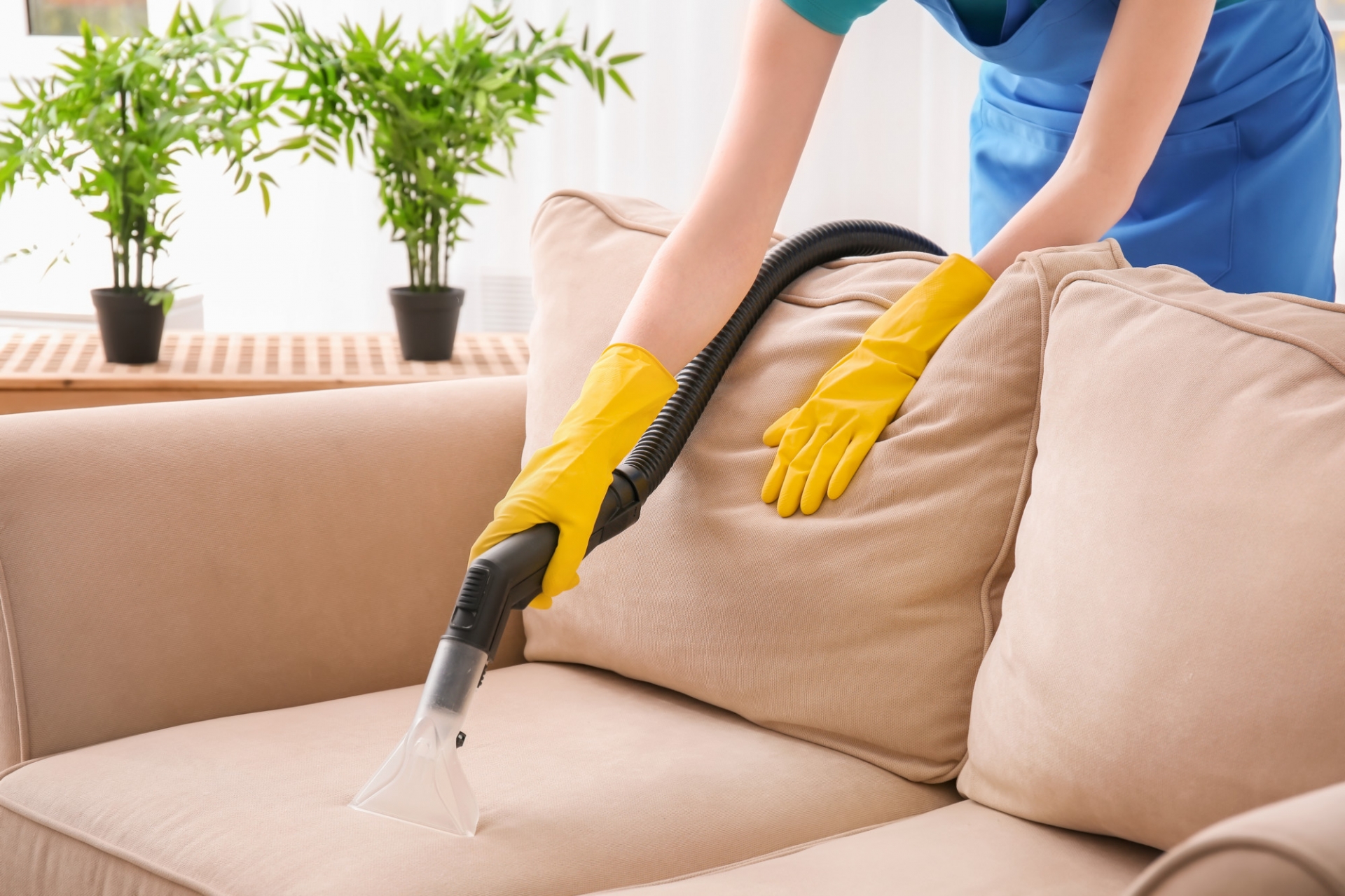 Hàng tuần, bạn sử dụng máy hút bụi cầm tay hoặc bàn chải để loại bỏ bất cứ mảnh vụn, bụi bẩn nào trên bề mặt nội thất da lộn.
