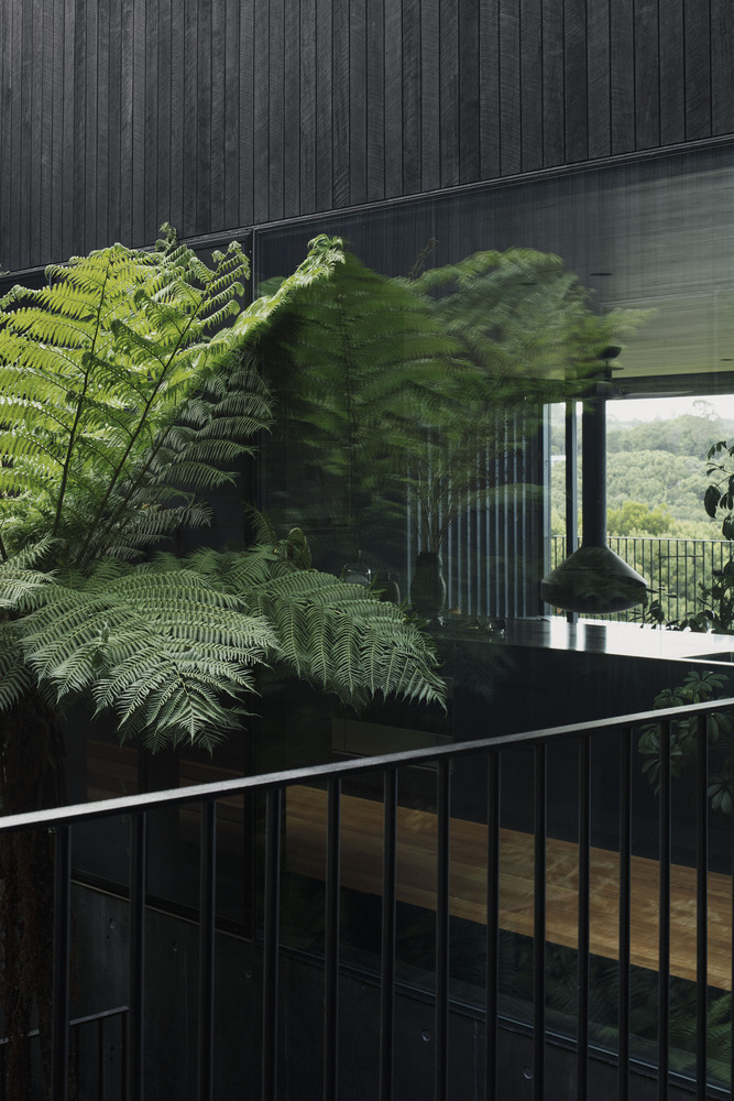 Từ các căn phòng, chủ nhân có thể ngắm nhìn những tán lá dương xỉ xanh tươi mềm mại qua ô cửa kính trong suốt.