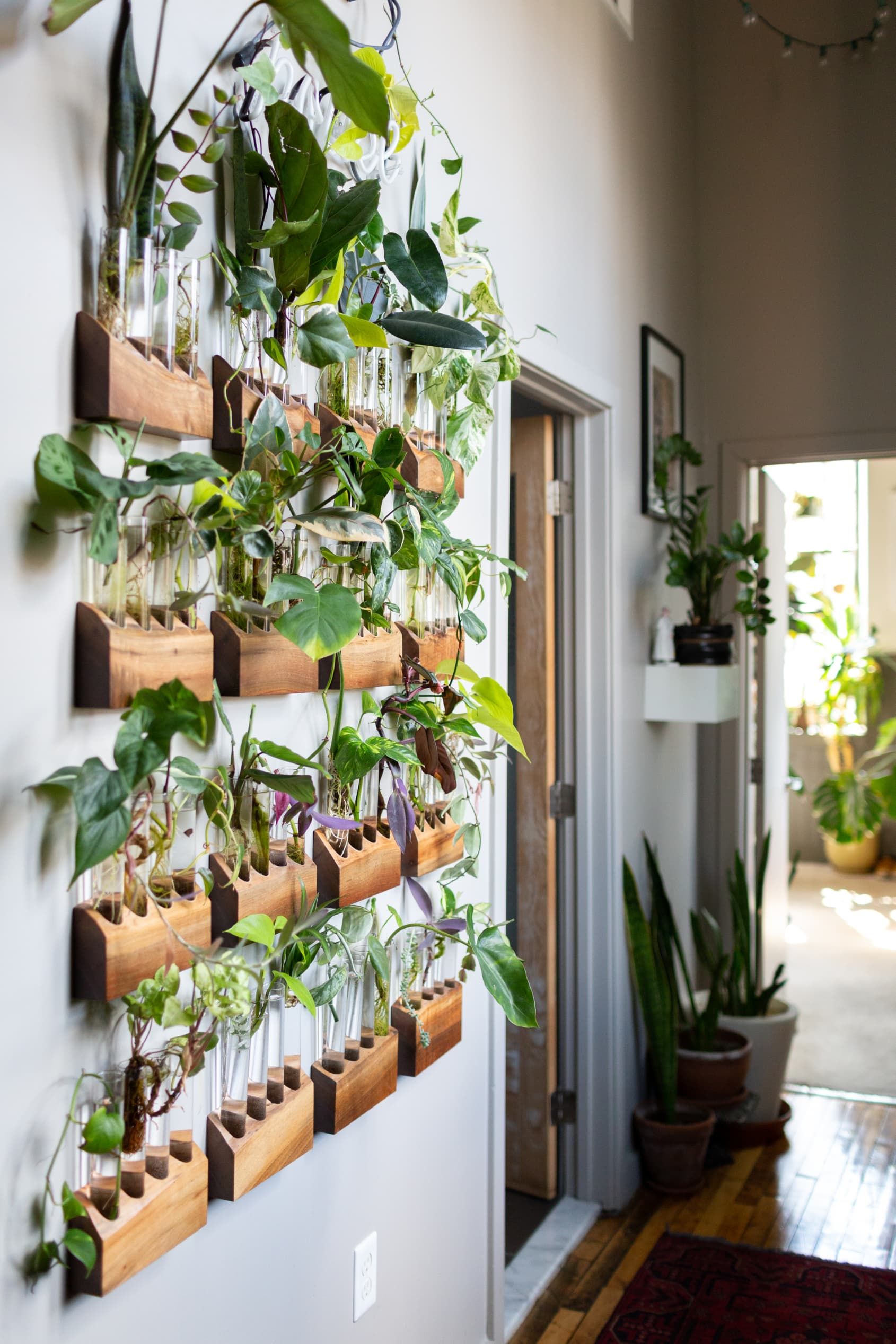 Nếu là người yêu thích thực vật cũng như muốn mang sắc xanh của thiên nhiên vào không gian sống thì bạn hãy tận dụng bức tường ở lối ra vào để trồng những loại cây cảnh nhỏ xinh, tràn đầy sức sống như thế này nhé!