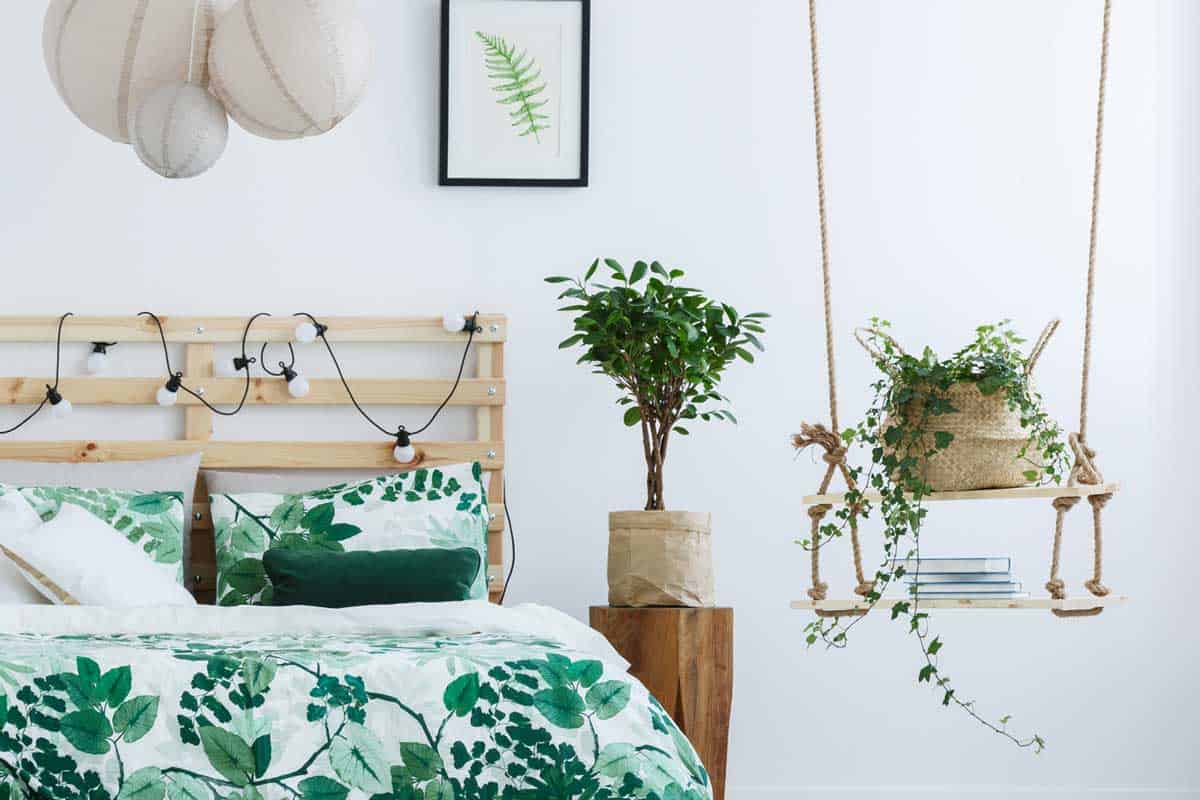 Những chậu cây cảnh tươi xanh mơn mởn đặt trên nóc tủ, bàn phấn trang điểm hay táp đầu giường sẽ mang thiên nhiên đến gần hơn với con người. 