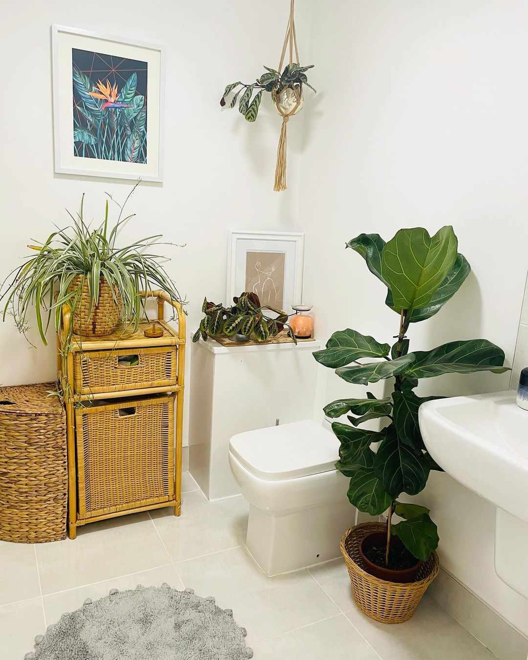 Không chỉ giới hạn ở không gian phòng tắm, cả khu vực nhà vệ sinh cũng có thể tận dụng để trưng bày cây cảnh. Những loại cây như nha đam, lưỡi hổ, dây nhện, bạc hà,... có thể “một công đôi việc” là khử mùi hôi và trang trí toilet.