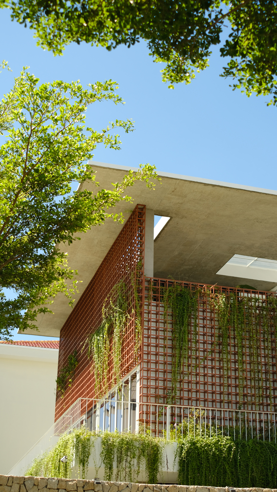 Freedom House có diện tích 305m² được thiết kế theo phong cách kiến trúc nhiệt đới đương đại. 