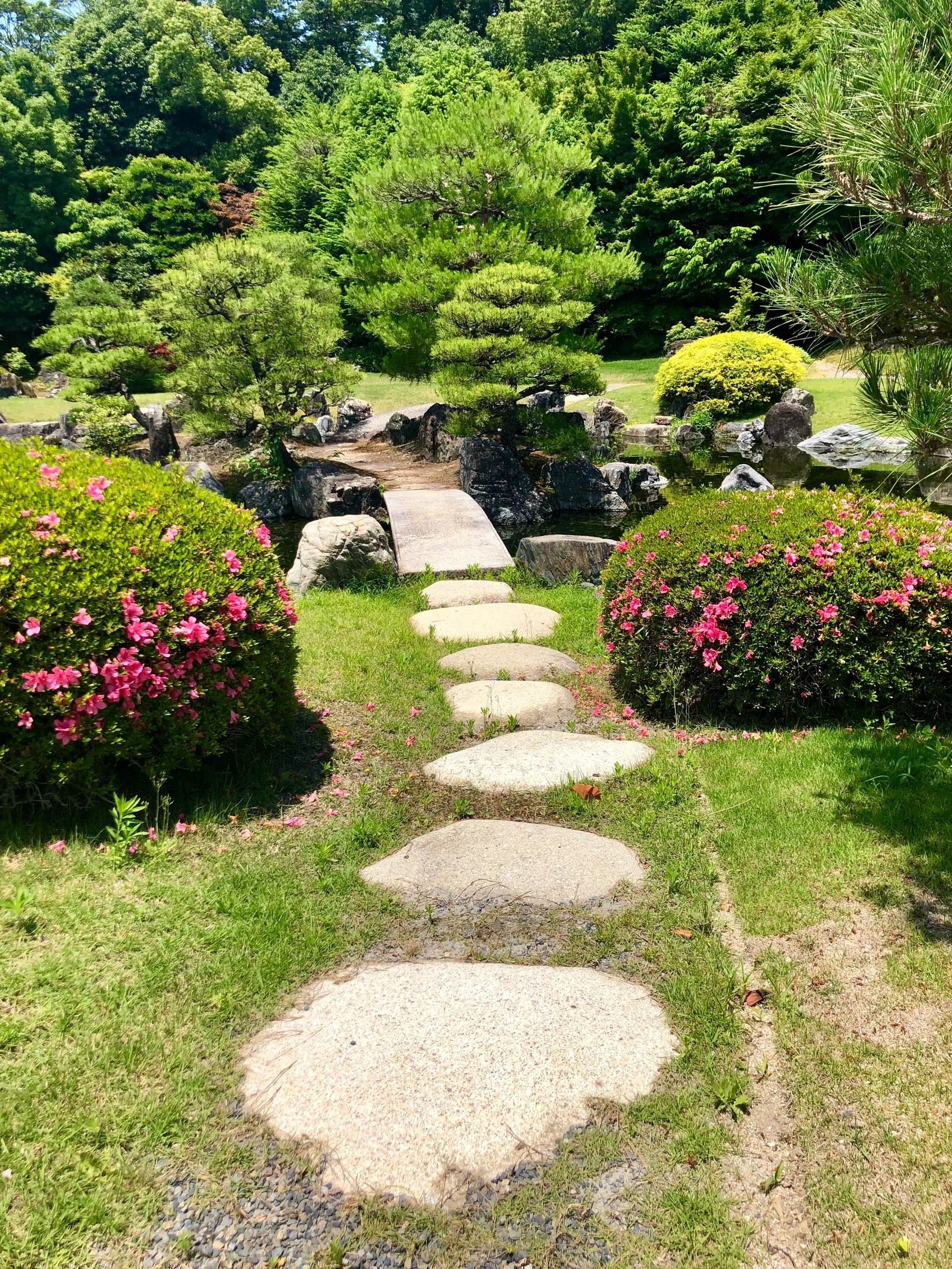 Phong cách Nhật Bản thực sự biến khu vườn trở thành một ốc đảo yên bình để thư giãn.