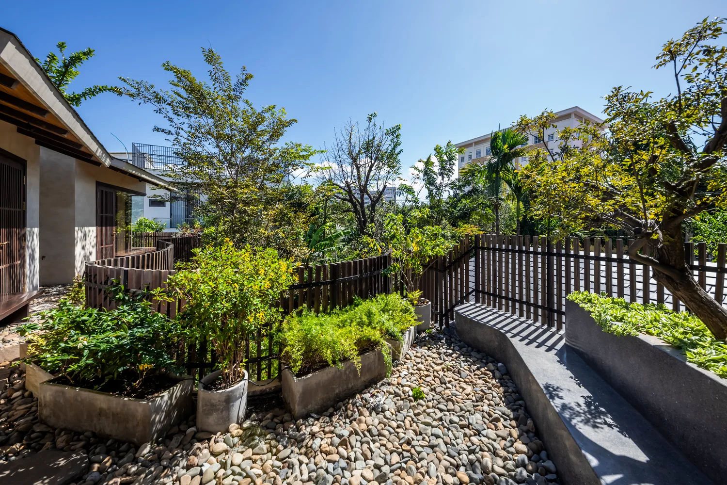 BMT House, ngôi nhà nên thơ, hòa quyện với thiên nhiên của cặp vợ chồng trẻ tại Buôn mê - Ảnh 6