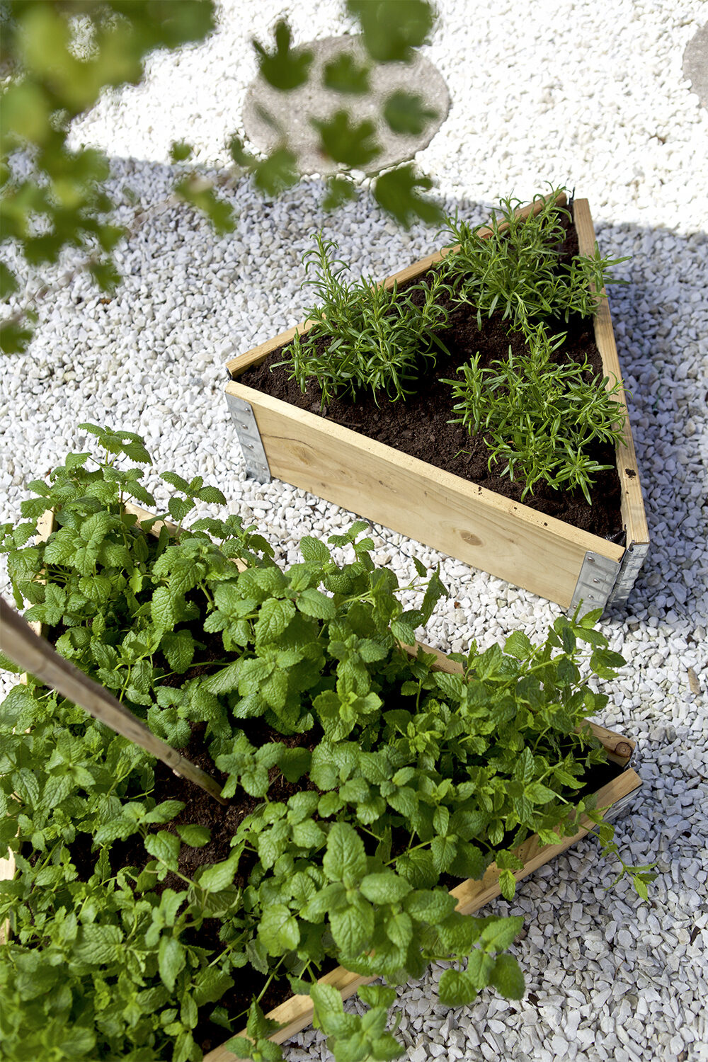 Thùng/hộp gỗ hoặc pallet là một sự thay thế tuyệt vời cho các chậu cây hoặc trồng trực tiếp dưới đất như trong sân vườn. 