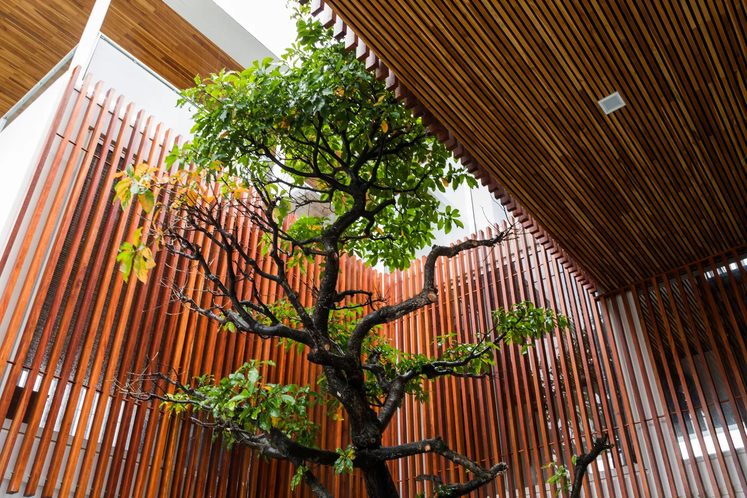House of P&T: Ngôi nhà sang trọng, kết nối với thiên nhiên thoáng đãng giữa xứ Huế mộng mơ - Ảnh 15