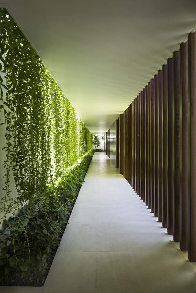 'Các ngăn kéo' được nối với nhau bằng hành lang kéo dài xuyên suốt chiều dài của công trình, được trang trí bởi giàn cây leo xanh tốt thuộc họ Bridal Veil Creepers.
