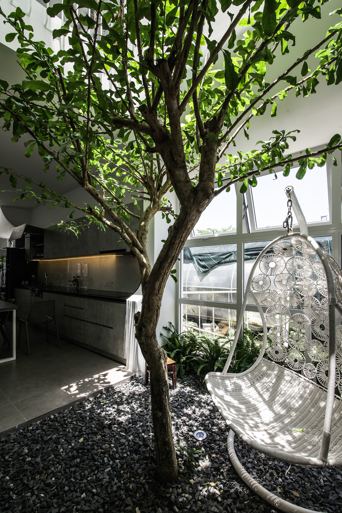 Ngay cạnh phòng bếp là khu vực thư giãn nhỏ xinh với ghế đan hình quả trứng xinh xắn cùng cây xanh vươn mình trong nắng ấm.