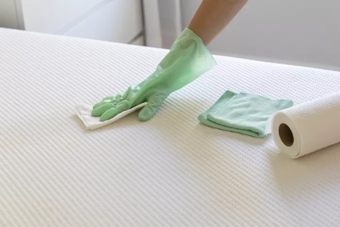 Dùng khăn giấy hoặc vải mềm sợi nhỏ để thấm càng nhiều nước tiểu càng tốt.