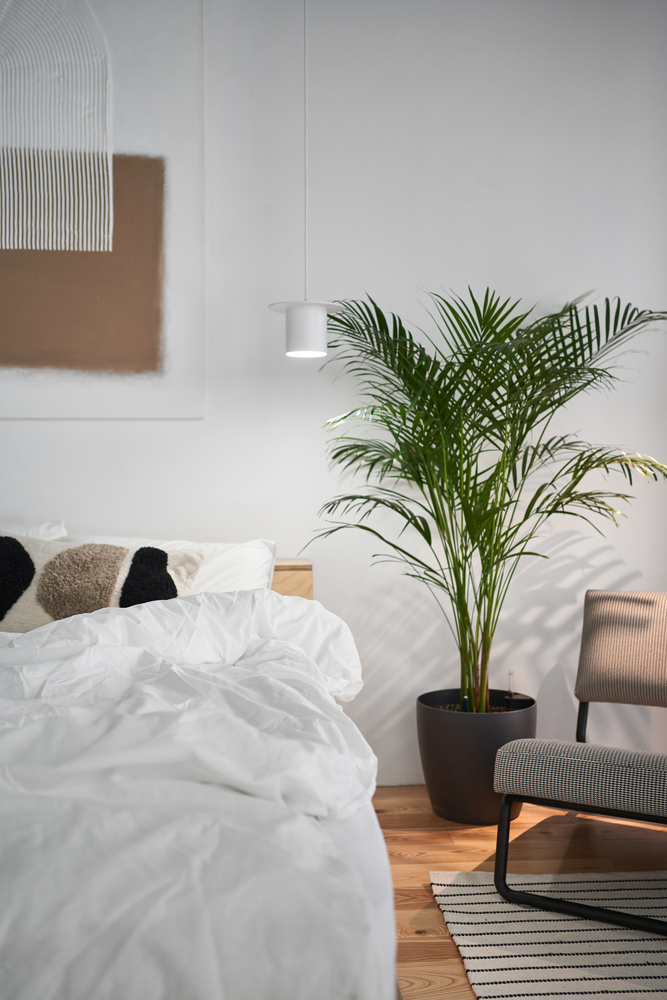 Căn hộ 43m² tối giản của cô nàng độc thân với thiết kế phòng bếp sắc hồng ngọt ngào và nổi bật  - Ảnh 11