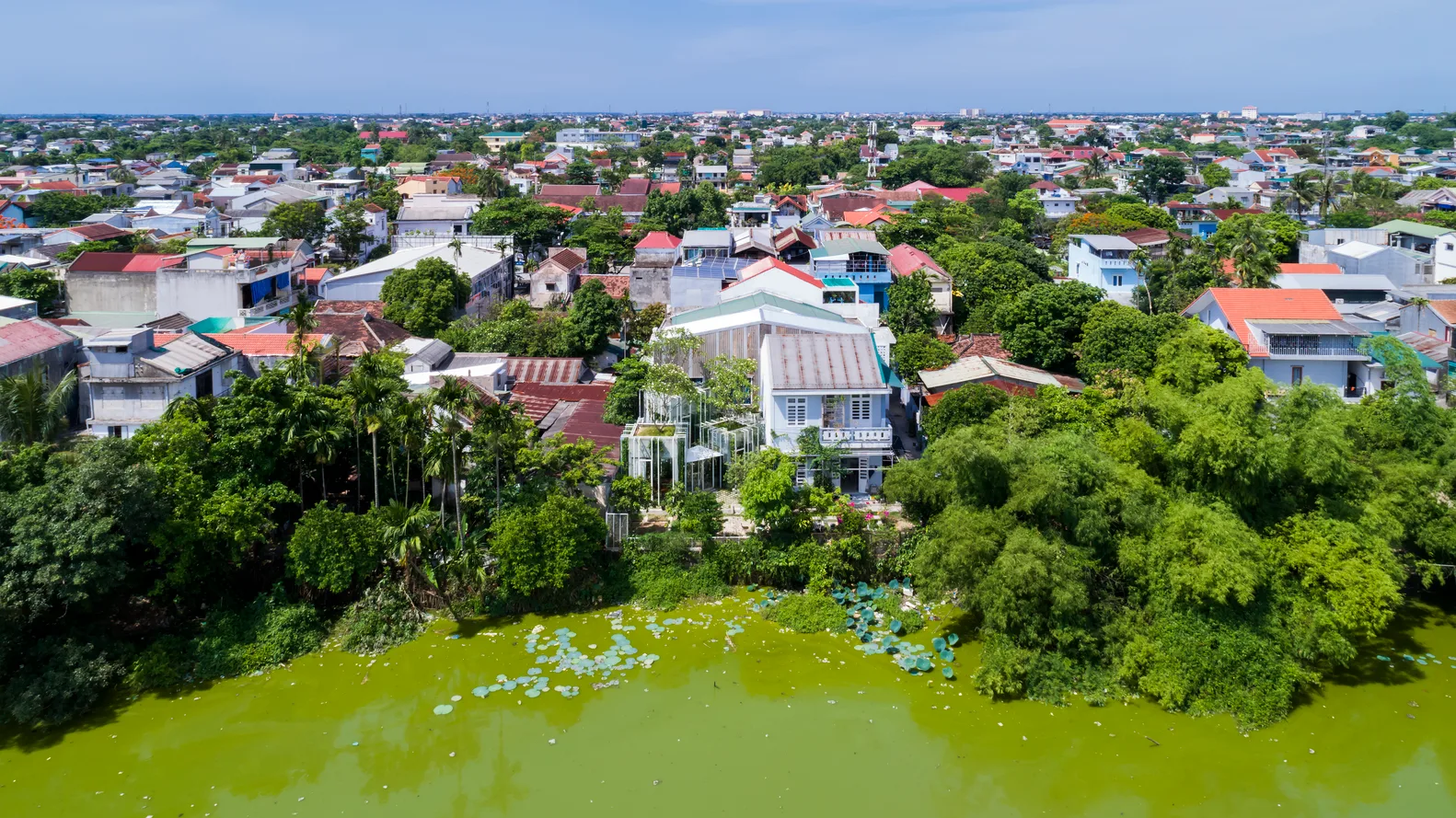 Labri House, ngôi nhà an yên như “khu rừng thu nhỏ” của cặp vợ chồng an dưỡng tuổi già tại Huế - Ảnh 1