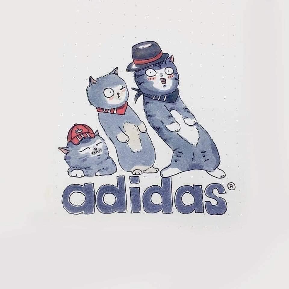 Adidas - một thương hiệu chuyên sản xuất các sản phẩm thời trang, thiết bị, dụng cụ thể thao đến từ Đức.