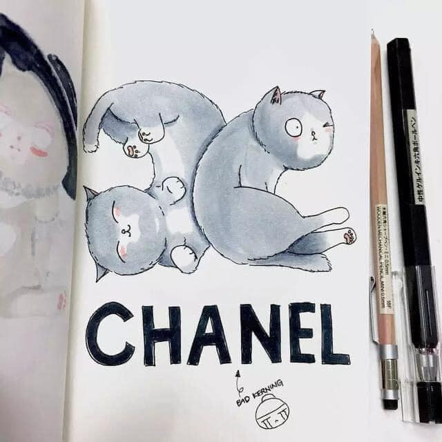 Chanel được biết tới là nhãn hàng thời trang xa xỉ Pháp.