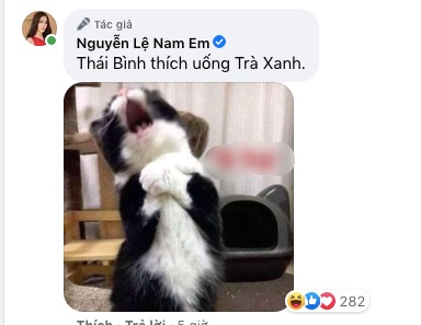 Nam Em hủy kết bạn với Lãnh Thanh và ngầm nhắc đến 'trà xanh' trên mạng xã hội.