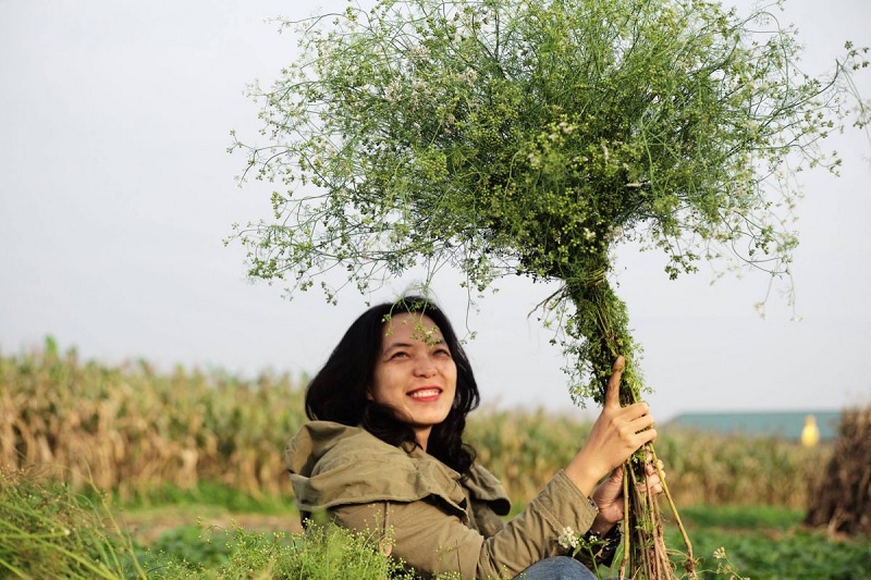 Tắm lá mùi già vào ngày tất niên được xem như nét đẹp văn hóa vẫn được nhiều gia đình duy trì đến bây giờ.