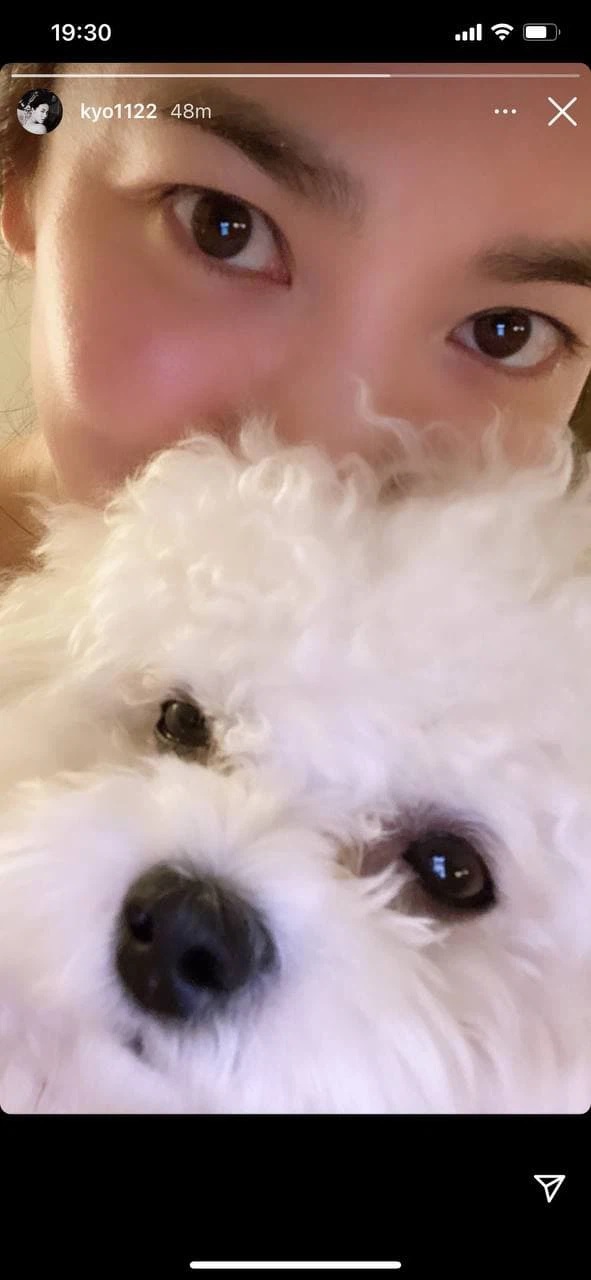 Cùng ngày hôm đó, Song Hye Kyo đã đăng story bức ảnh chụp cùng chú chó với gương mặt tươi tắn.