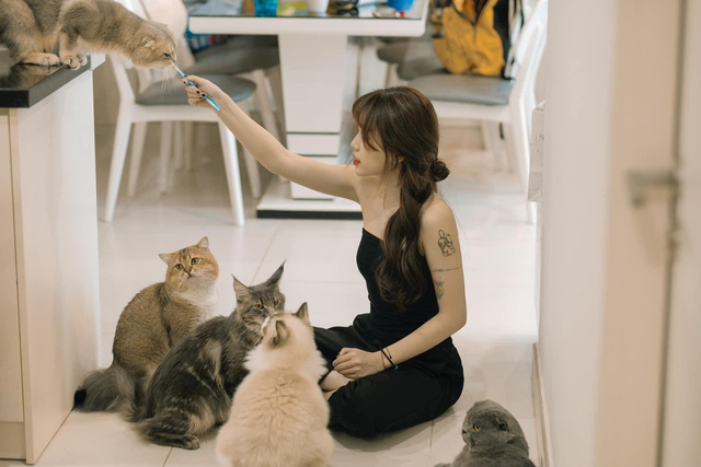 Hình ảnh Linh Ngọc Đàm cùng dàn mèo cưng của mình. Nguồn: Internet
