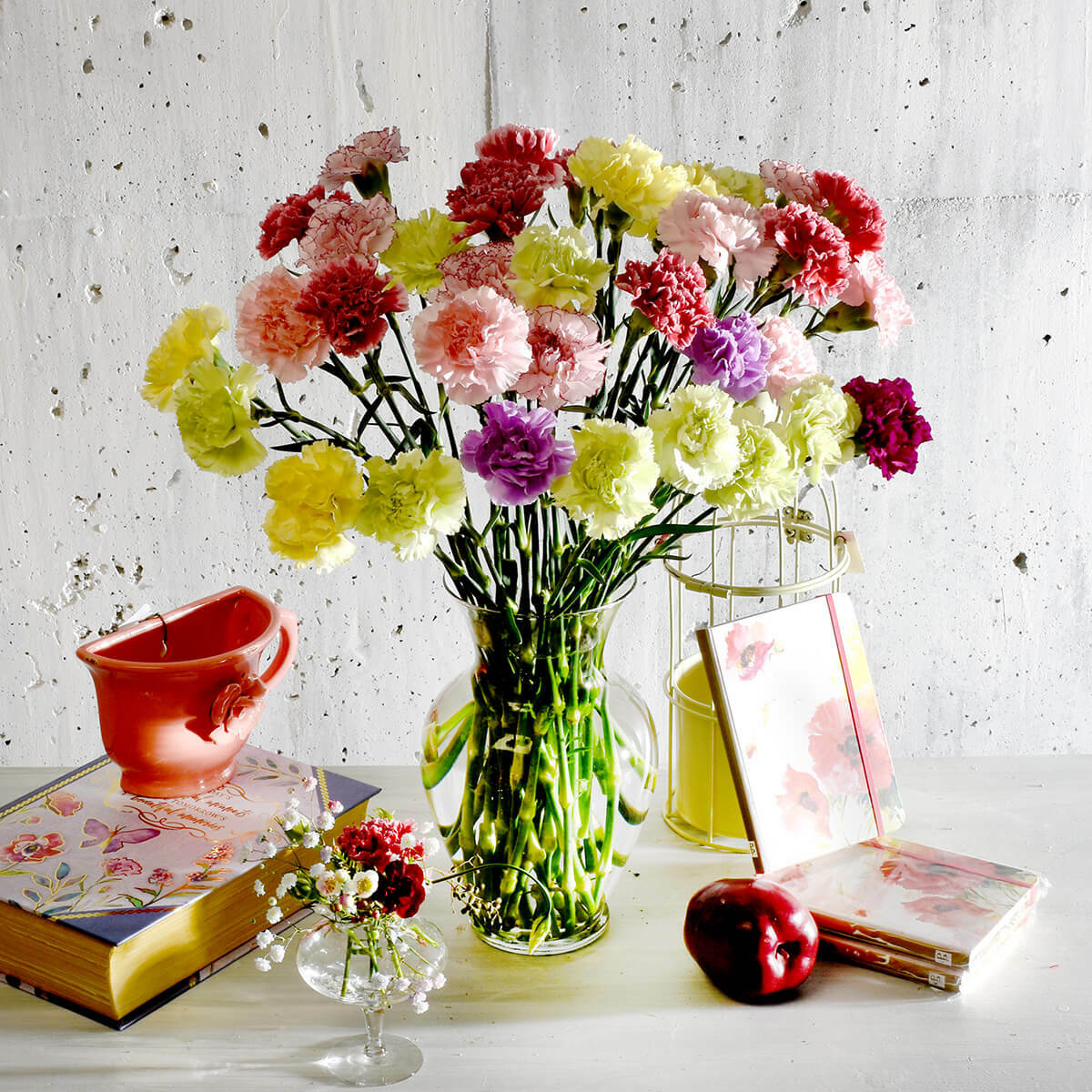 Hoa cẩm chướng đại diện cho sự sung túc, dồi dào.