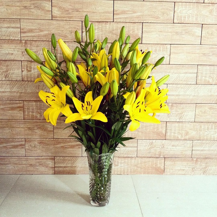 Hoa ly màu vàng sẽ mang đến may mắn cho gia chủ mệnh Thổ