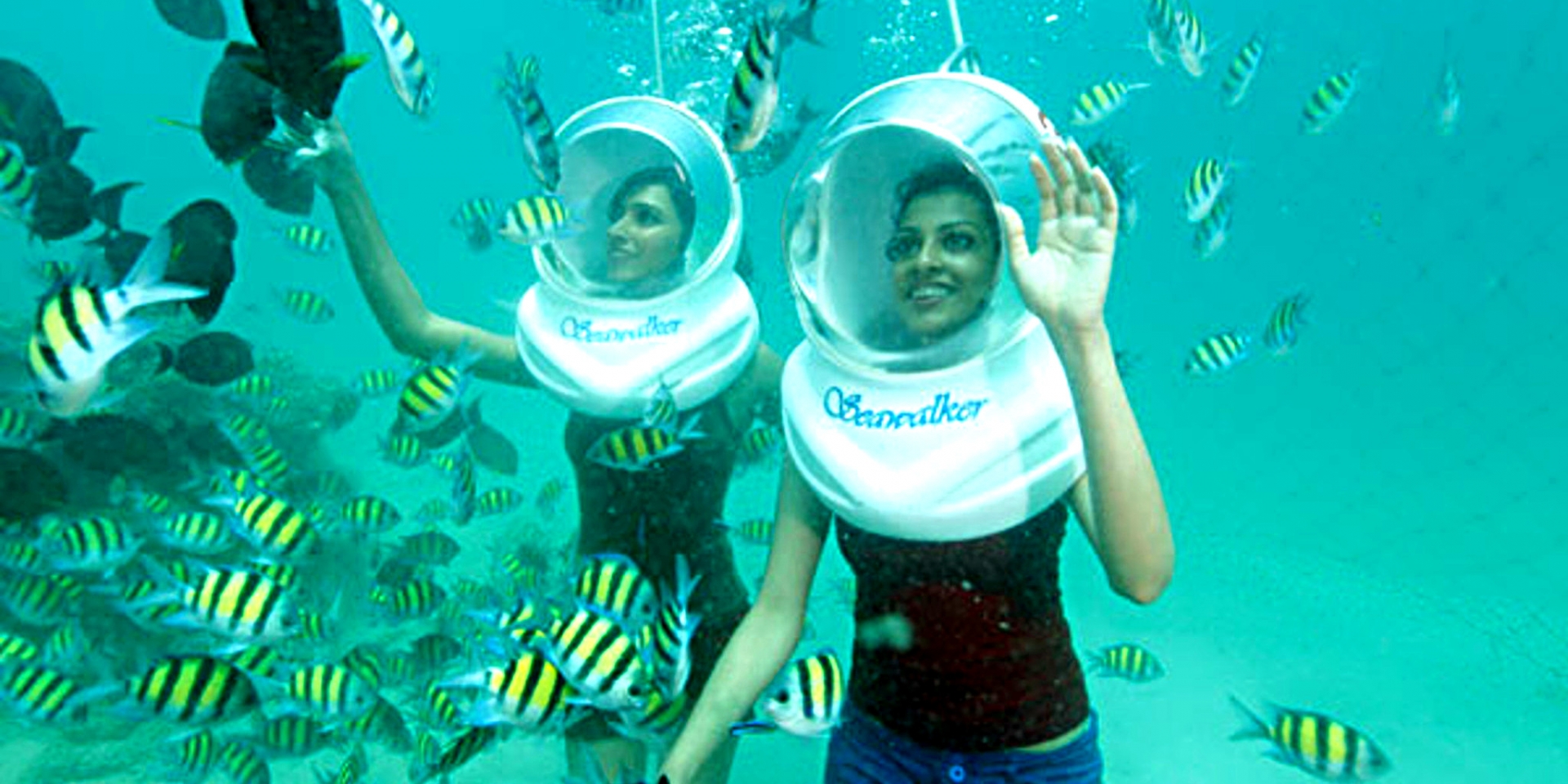 Các du khách nước ngoài cũng vô cùng hứng thú với tour du lịch tham quan đáy biển Nha Trang